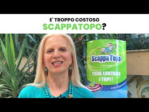 Quanto costa - ScappaTopo Risponde