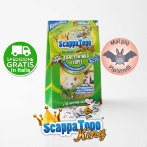 scappatopo-king-pipistrelli