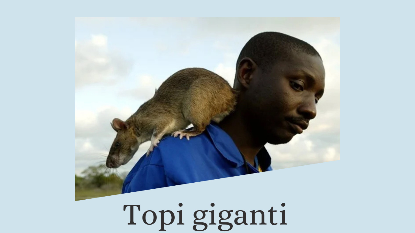 Topi-giganteschi