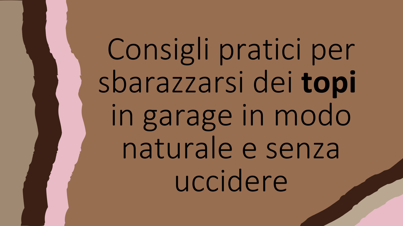 Consigli-per-sbarazzarsi-dei-topi-in-garage-in-modo-naturale-e-senza-uccidere