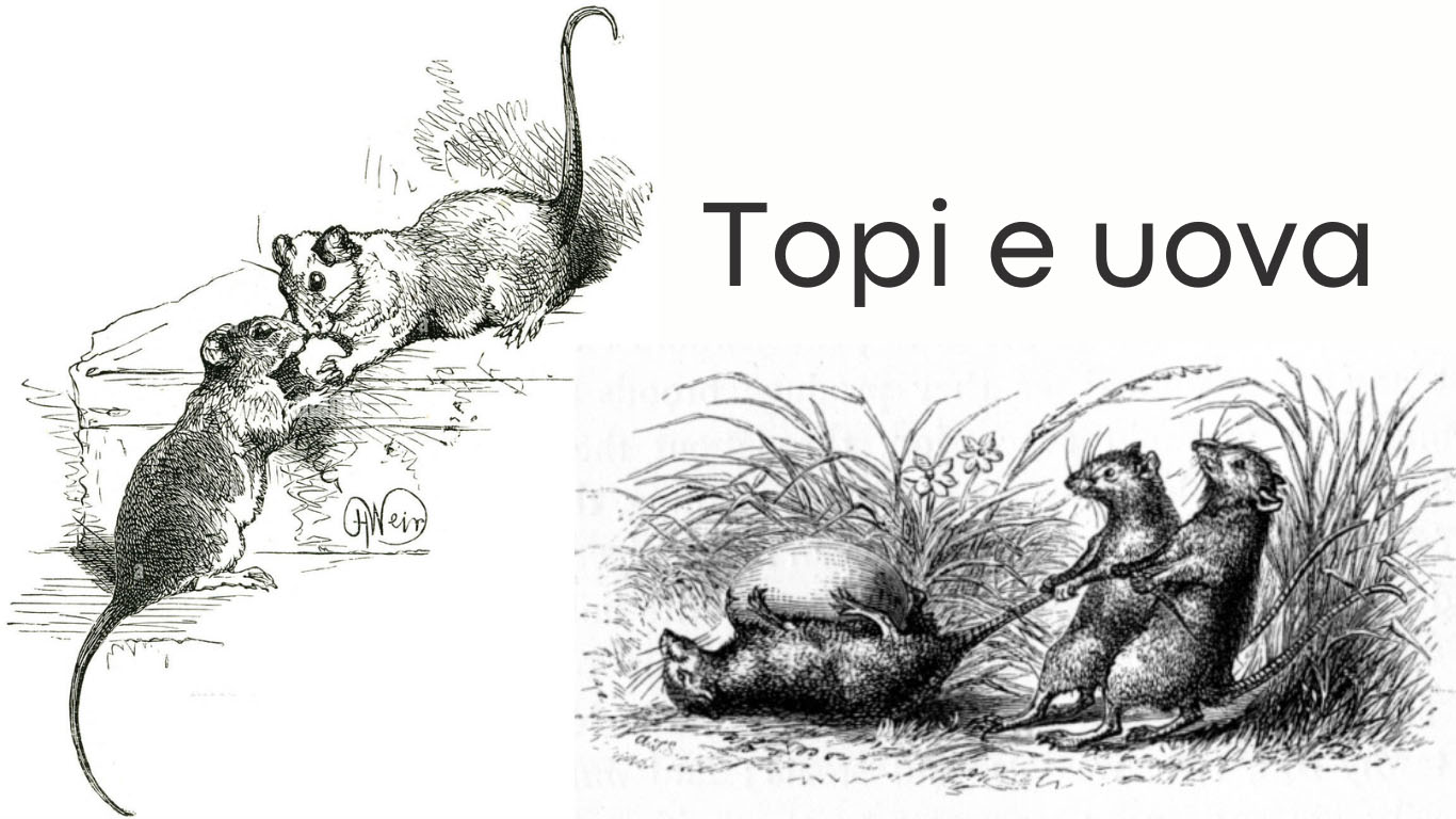 I-topi-e-le-uova