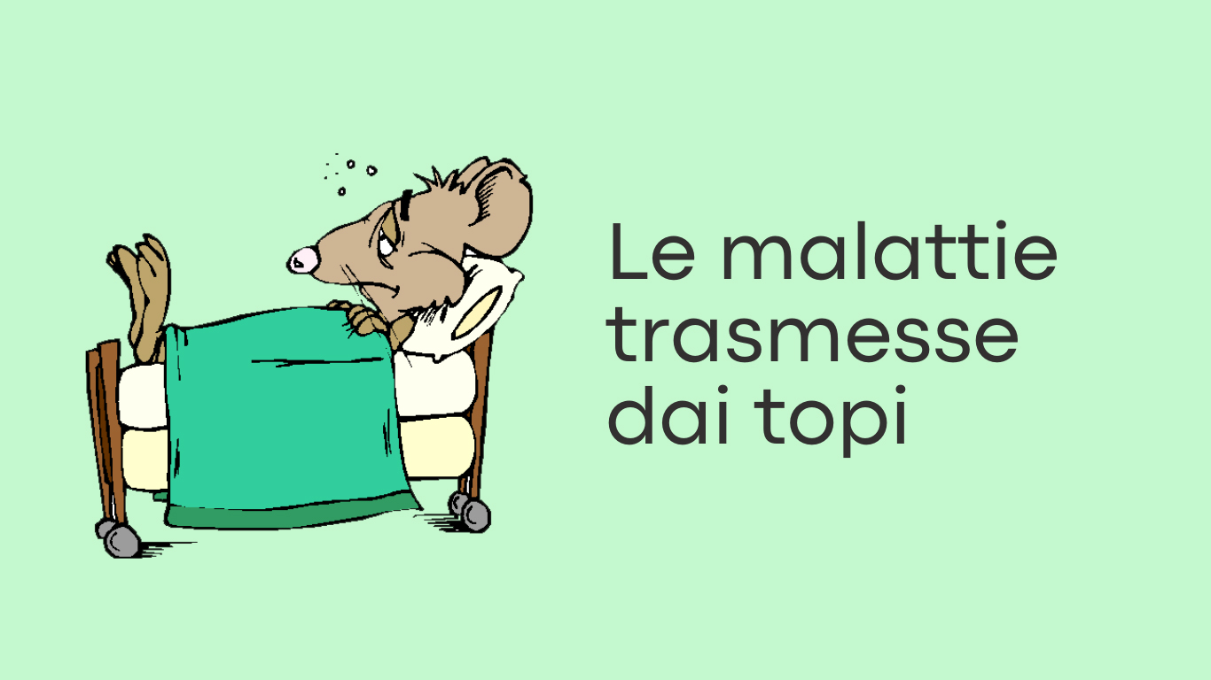 Le malattie trasmesse dai topi