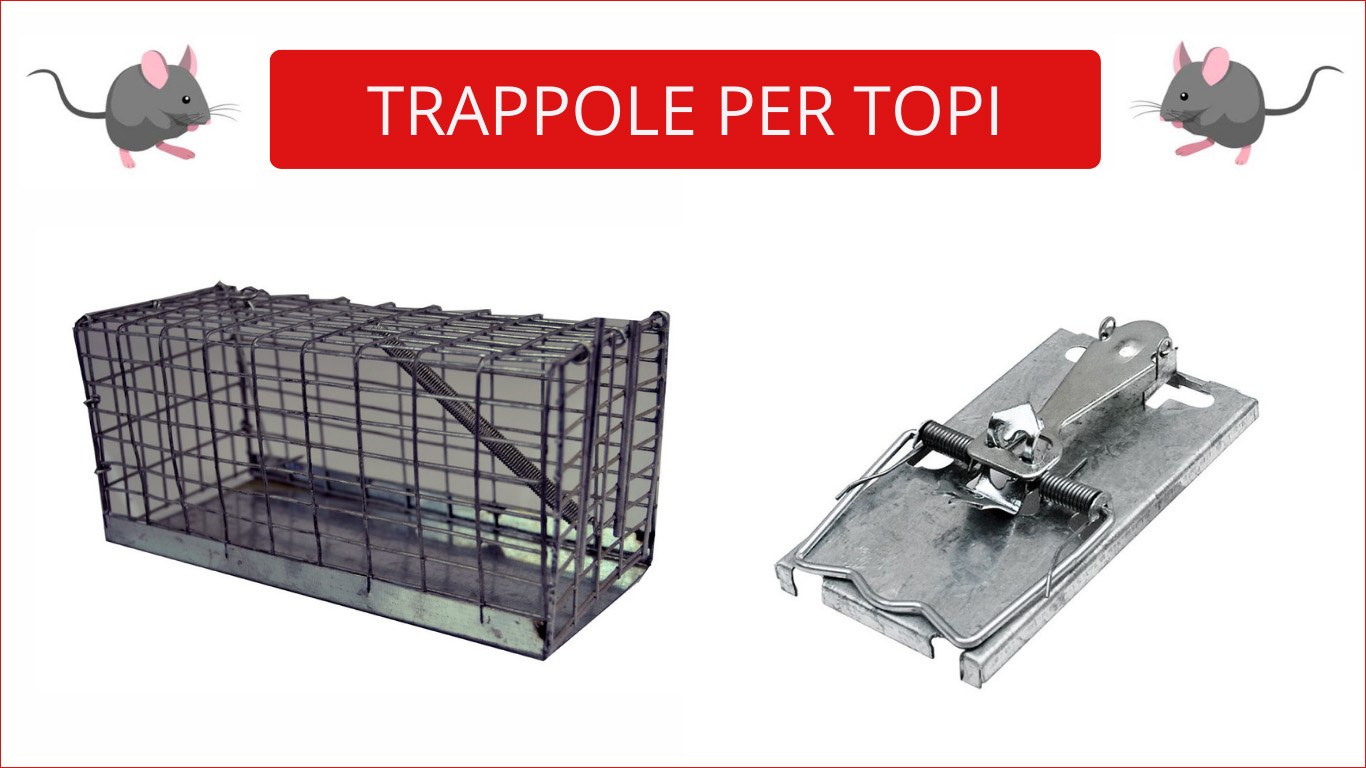 Trappole-per-topi