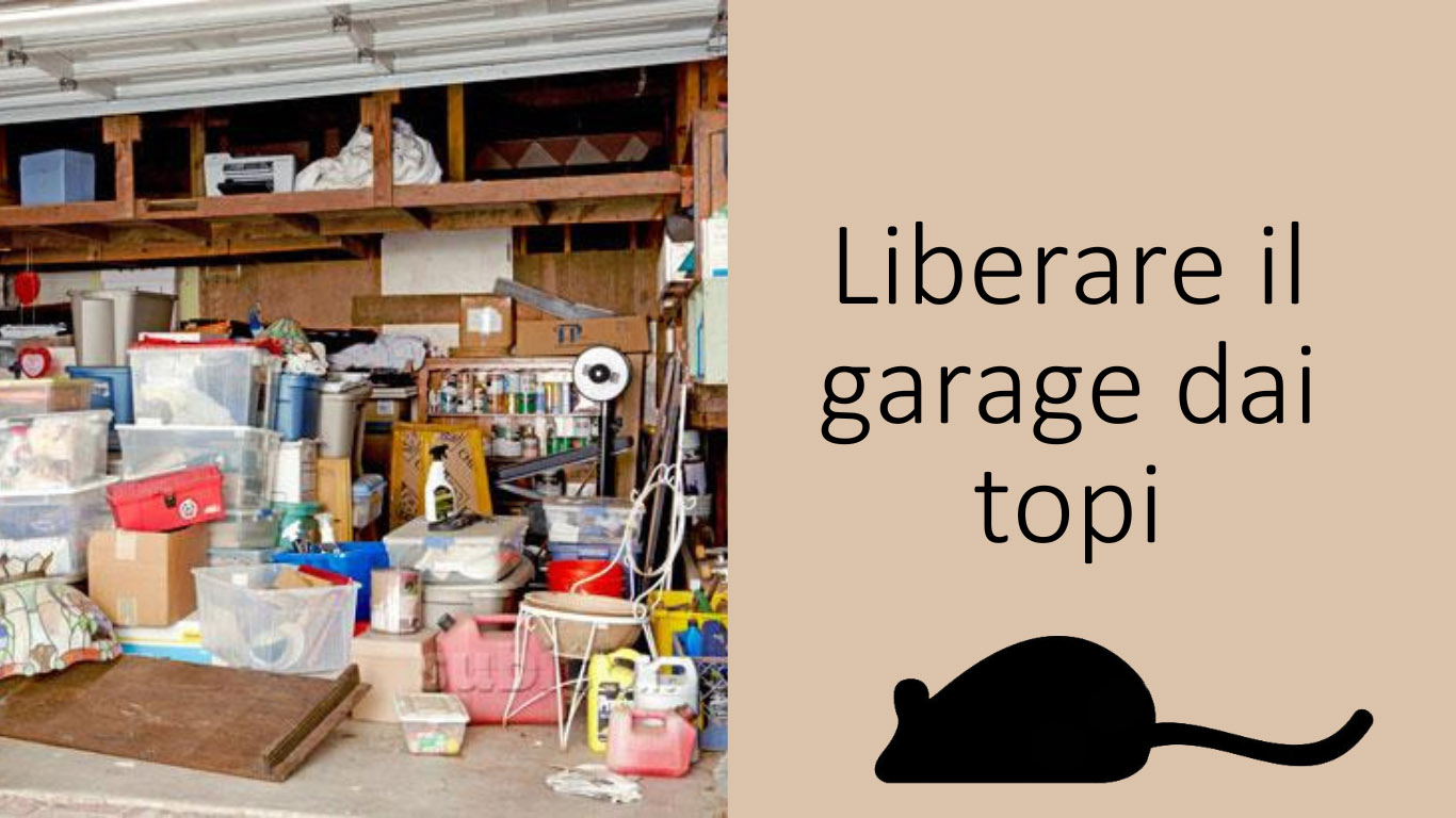 liberare-il-garage-dai-topi