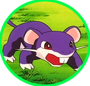 rattata