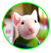 stuart little