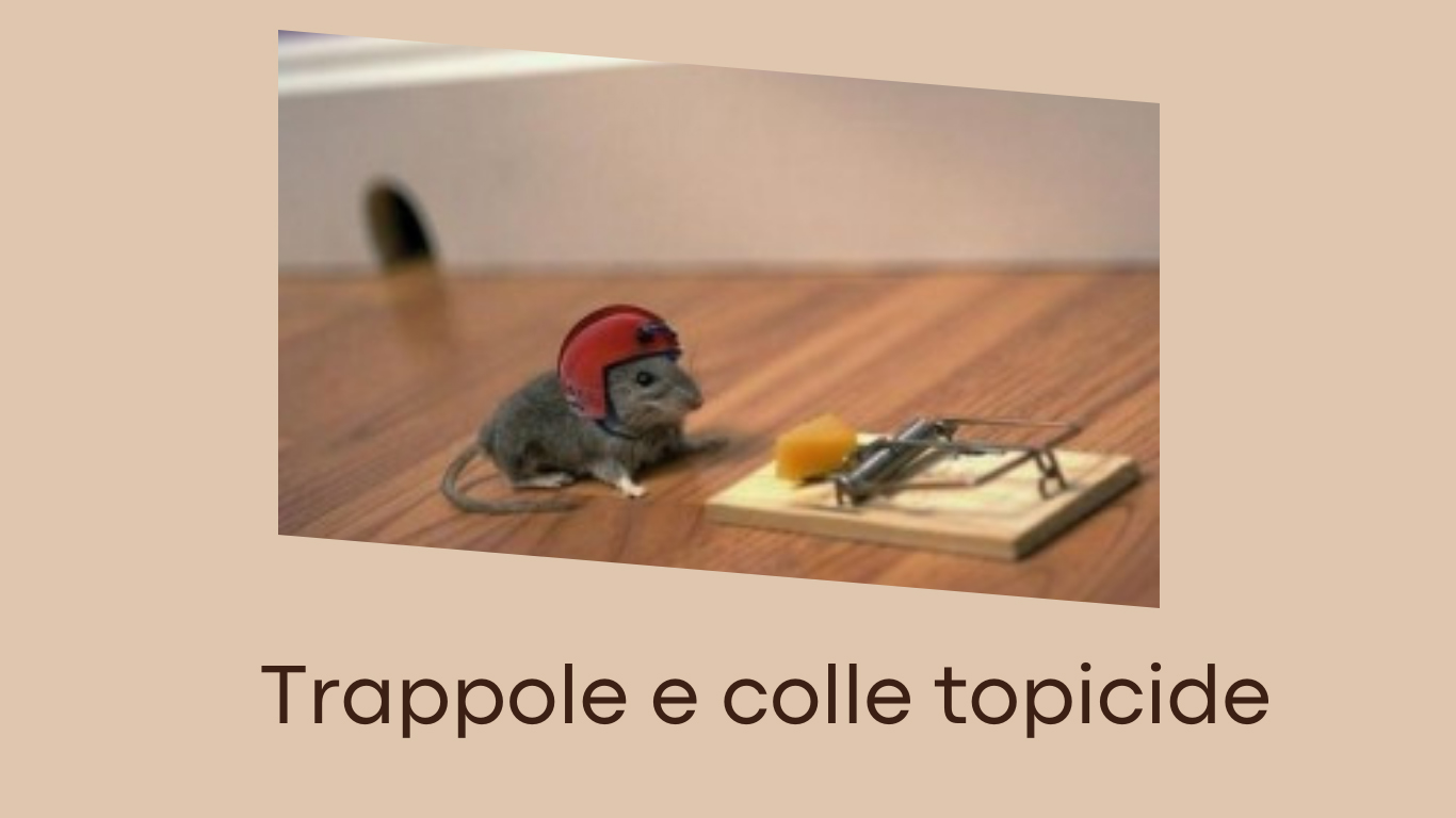 Criticità dei metodi letali – Trappole e Colle topicide